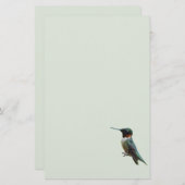 Ruby-Throated Hummingbird Bird Fotografy Briefpapier (Vorne/Hinten)