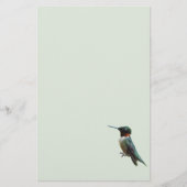 Ruby-Throated Hummingbird Bird Fotografy Briefpapier (Vorderseite)