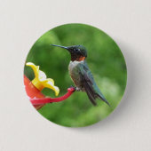 Ruby-Throated Hummingbird Bird Fotografy Button (Vorderseite)