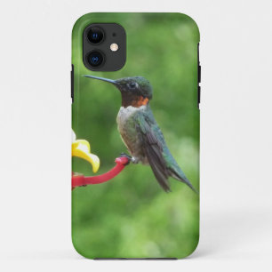 Ruby-Throated Hummingbird Bird Fotografy Case-Mate iPhone Hülle