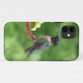 Ruby-Throated Hummingbird Bird Fotografy Case-Mate iPhone Hülle (Rückseite (Horizontal))