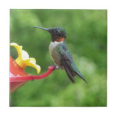 Ruby-Throated Hummingbird Bird Fotografy Fliese (Vorderseite)