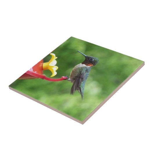 Ruby-Throated Hummingbird Bird Fotografy Fliese (Seite)