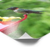 Ruby-Throated Hummingbird Bird Fotografy Fotodruck (Ecke)