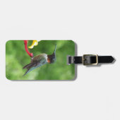 Ruby-Throated Hummingbird Bird Fotografy Gepäckanhänger (Vorderseite horizontal)