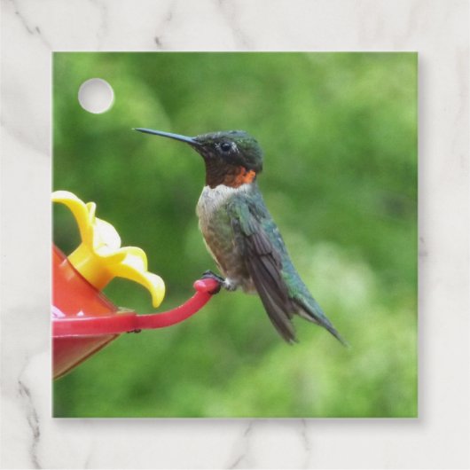 Ruby-Throated Hummingbird Bird Fotografy Geschenkanhänger (Vorderseite)