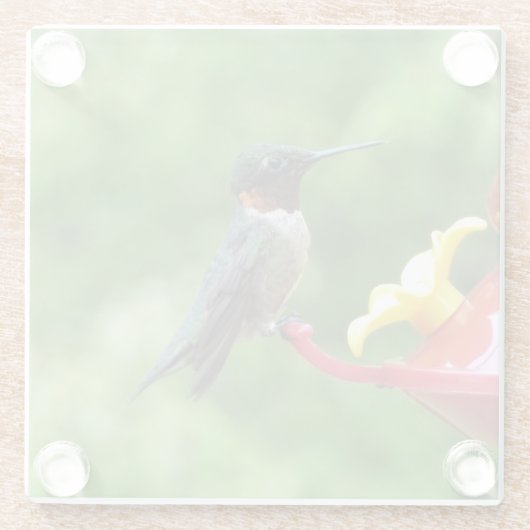Ruby-Throated Hummingbird Bird Fotografy Glasuntersetzer (Rückseite)