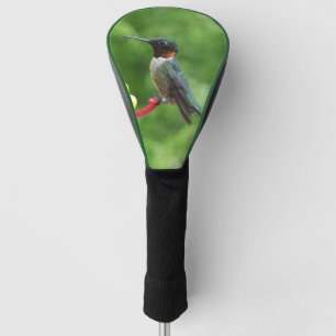Ruby-Throated Hummingbird Bird Fotografy Golf Headcover