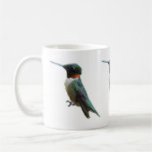 Ruby-Throated Hummingbird Bird Fotografy Kaffeetasse (Links)