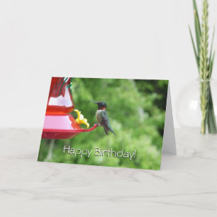Ruby-Throated Hummingbird Bird Fotografy Karte