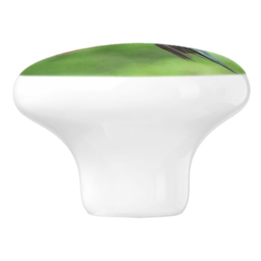 Ruby-Throated Hummingbird Bird Fotografy Keramikknauf (Seitenansicht)