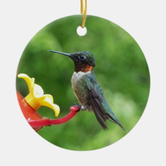 Ruby-Throated Hummingbird Bird Fotografy Keramikornament (Vorne)