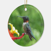 Ruby-Throated Hummingbird Bird Fotografy Keramikornament (Links)