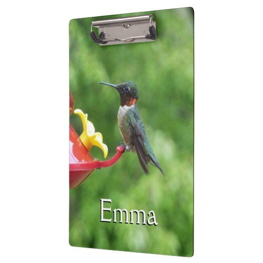 Ruby-Throated Hummingbird Bird Fotografy Klemmbrett (Links)