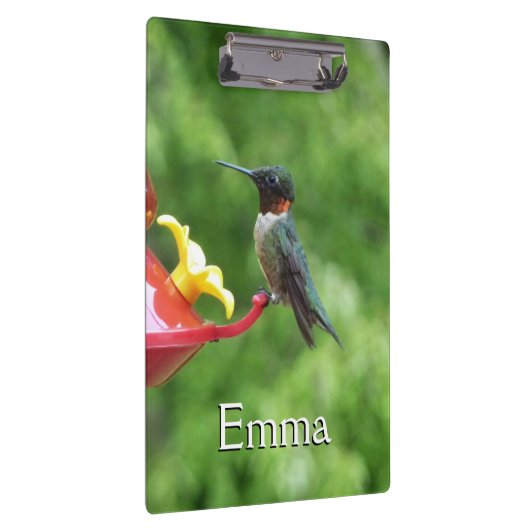 Ruby-Throated Hummingbird Bird Fotografy Klemmbrett (Rechts)