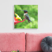 Ruby-Throated Hummingbird Bird Fotografy Leinwanddruck (Insitu (Wohnzimmer))