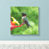 Ruby-Throated Hummingbird Bird Fotografy Leinwanddruck (Insitu (Holzboden))