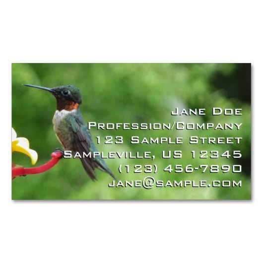 Ruby-Throated Hummingbird Bird Fotografy Magnetische Visitenkarte (Vorderseite)