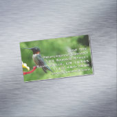 Ruby-Throated Hummingbird Bird Fotografy Magnetische Visitenkarte (Beispiel)