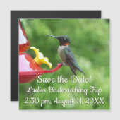 Ruby-Throated Hummingbird Bird Fotografy Magnetkarte (Vorne/Hinten)