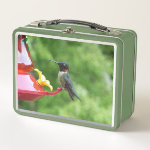 Ruby-Throated Hummingbird Bird Fotografy Metall Brotdose