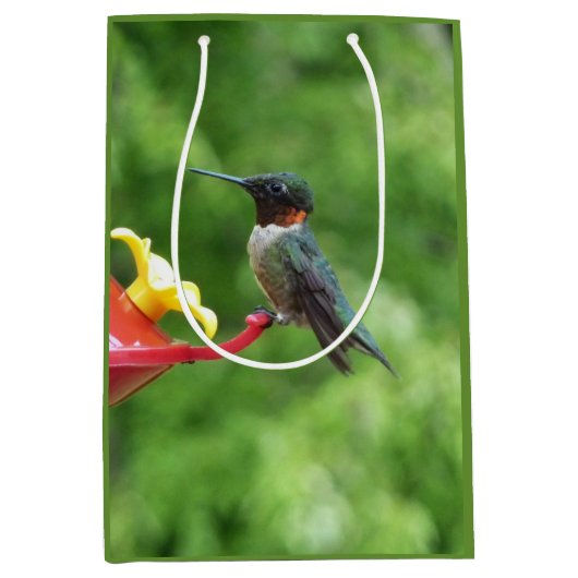 Ruby-Throated Hummingbird Bird Fotografy Mittlere Geschenktüte (Vorderseite)