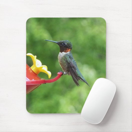 Ruby-Throated Hummingbird Bird Fotografy Mousepad (Mit Mouse)