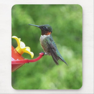 Ruby-Throated Hummingbird Bird Fotografy Mousepad
