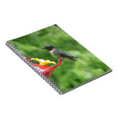 Ruby-Throated Hummingbird Bird Fotografy Notizblock (Rechte Seite)