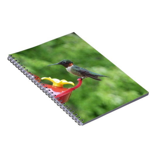 Ruby-Throated Hummingbird Bird Fotografy Notizblock (Rechte Seite)