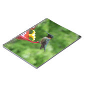 Ruby-Throated Hummingbird Bird Fotografy Notizblock (Linke Seite)