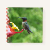 Ruby-Throated Hummingbird Bird Fotografy Notizblock (Vorderseite)