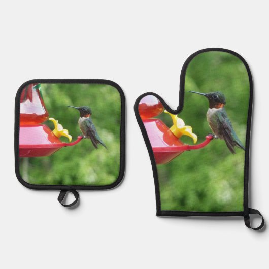 Ruby-Throated Hummingbird Bird Fotografy Ofenhandschuh & Topflappen-Set (Vorderseite)