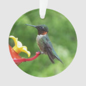 Ruby-Throated Hummingbird Bird Fotografy Ornament (Vorderseite)