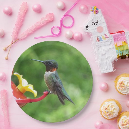 Ruby-Throated Hummingbird Bird Fotografy Pappteller (Party)