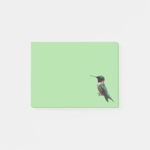Ruby-Throated Hummingbird Bird Fotografy Post-it Klebezettel