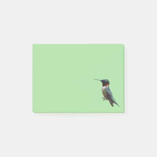 Ruby-Throated Hummingbird Bird Fotografy Post-it Klebezettel (Vorderseite)