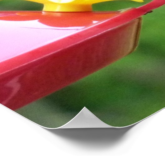 Ruby-Throated Hummingbird Bird Fotografy Poster (Ecke)