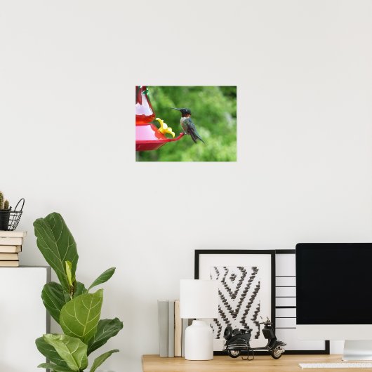 Ruby-Throated Hummingbird Bird Fotografy Poster (Heimbüro)