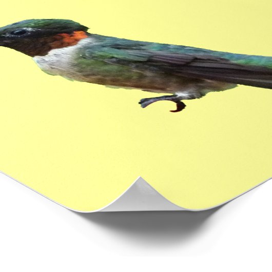 Ruby-Throated Hummingbird Bird Fotografy Poster (Ecke)