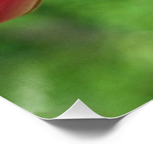 Ruby-Throated Hummingbird Bird Fotografy Poster (Ecke)