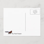 Ruby-Throated Hummingbird Bird Fotografy Postkarte (Rückseite)