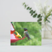 Ruby-Throated Hummingbird Bird Fotografy Postkarte (Stehend Vorderseite)