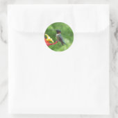 Ruby-Throated Hummingbird Bird Fotografy Runder Aufkleber (Tasche)