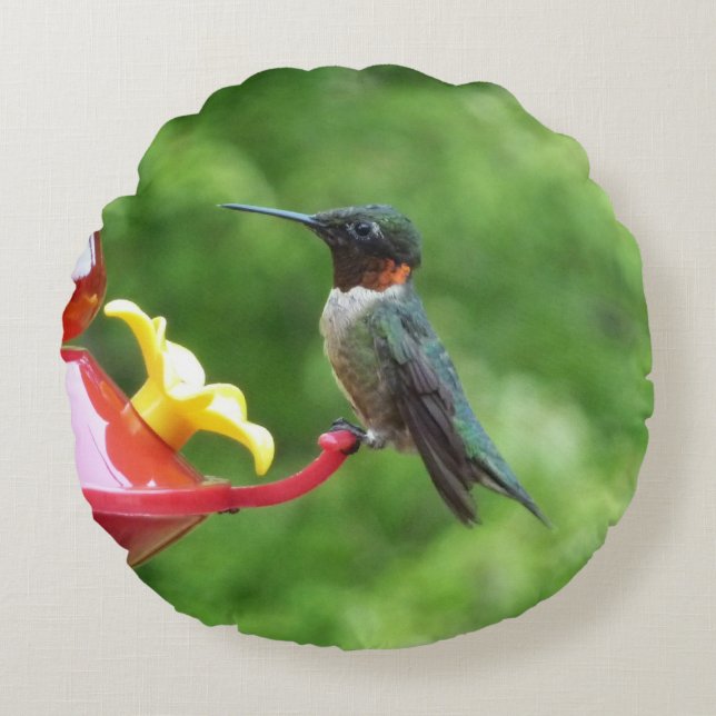 Ruby-Throated Hummingbird Bird Fotografy Rundes Kissen (Vorderseite)