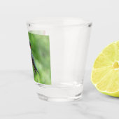 Ruby-Throated Hummingbird Bird Fotografy Schnapsglas (Rechts)