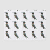 Ruby-Throated Hummingbird Bird Fotografy Seidenpapier (Vorderseite)