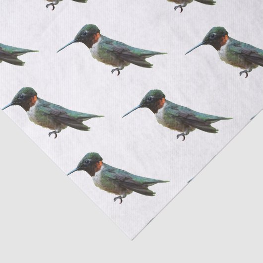 Ruby-Throated Hummingbird Bird Fotografy Seidenpapier (Ausschnitt)
