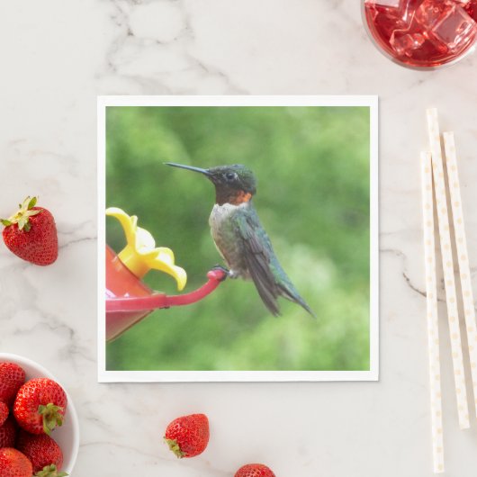 Ruby-Throated Hummingbird Bird Fotografy Serviette (Beispiel)