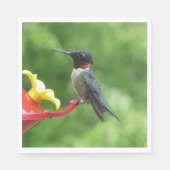 Ruby-Throated Hummingbird Bird Fotografy Serviette (Vorderseite)